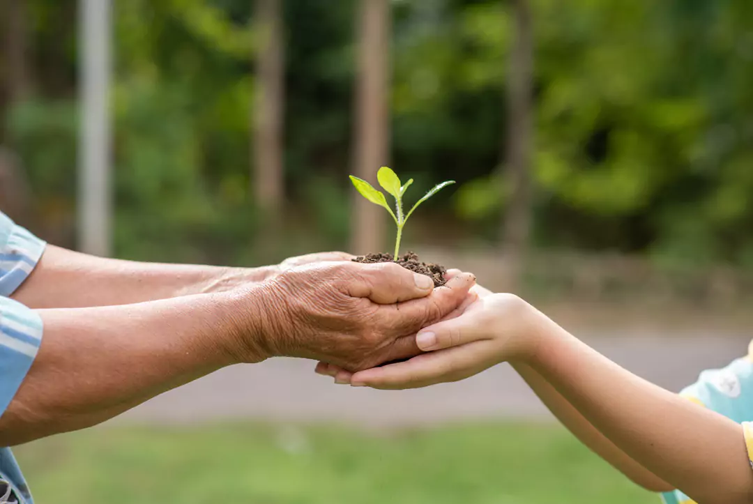 Pessoas segurando uma muda de árvore representando a pegada ambiental.