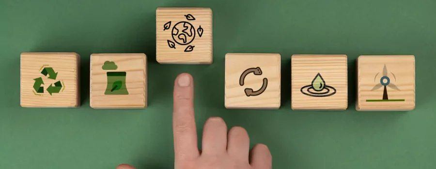 5 Rs da sustentabilidade: como implementar na sua empresa