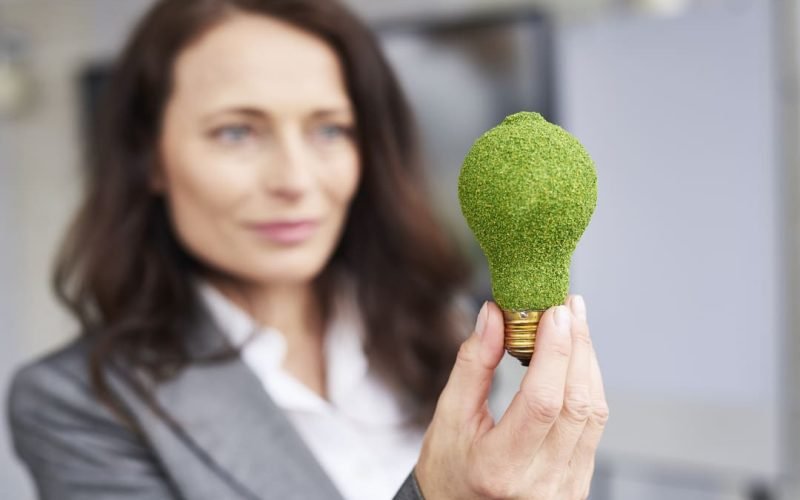 Empreendedorismo verde: o que é, importância e como aplicá-lo