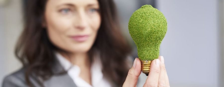 Empreendedorismo verde: o que é, importância e como aplicá-lo