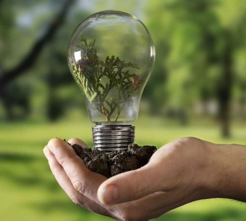 Energia renovável: por que sua empresa deve investir?