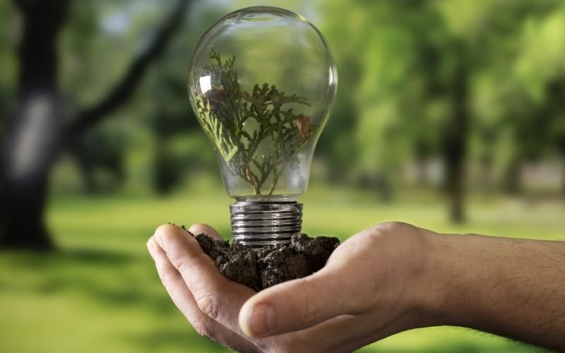Energia renovável: por que sua empresa deve investir?