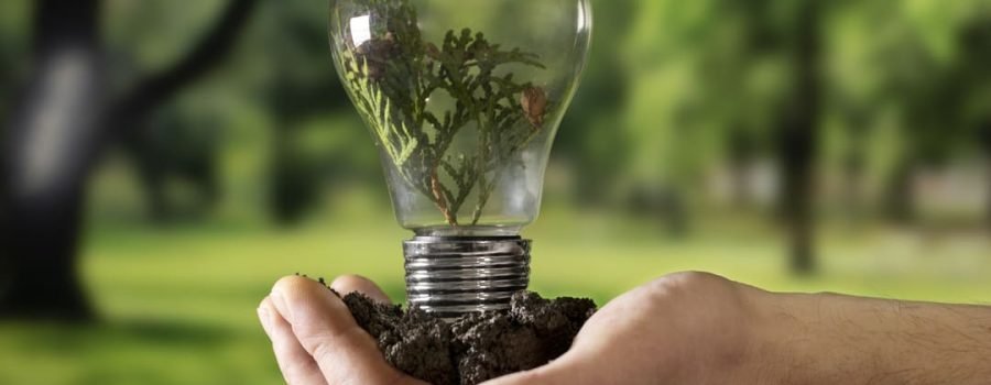 Energia renovável: por que sua empresa deve investir?