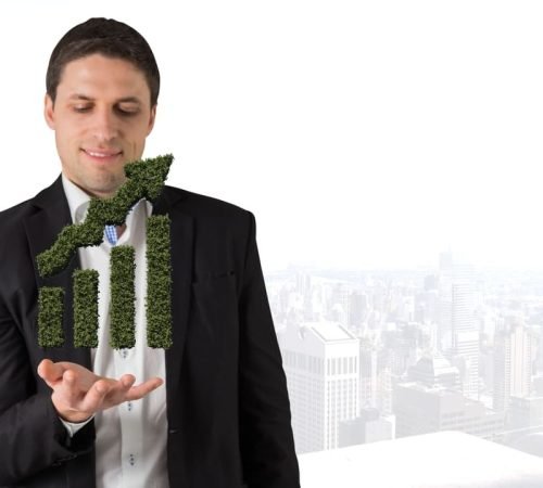 Sustentabilidade empresarial: tudo o que você precisa saber