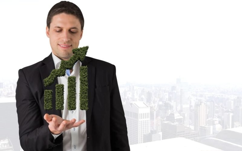 Sustentabilidade empresarial: tudo o que você precisa saber