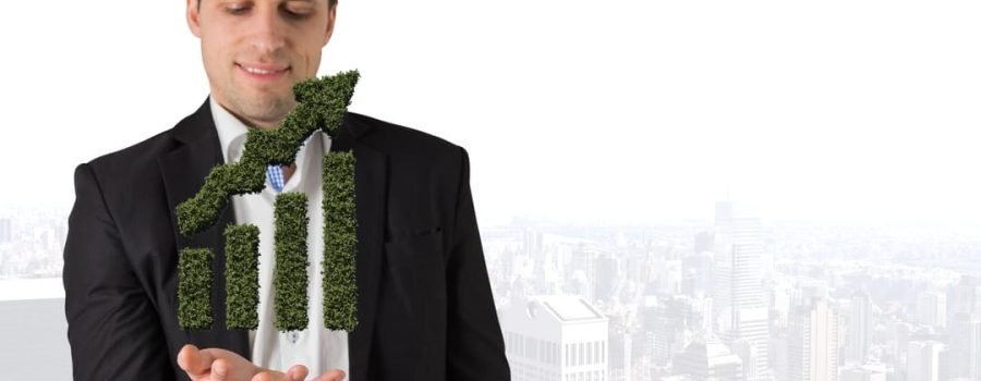 Sustentabilidade empresarial: tudo o que você precisa saber