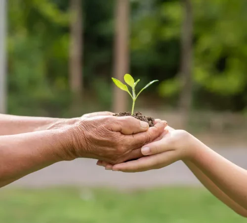 Pegada ambiental: o que é, importância e como medir