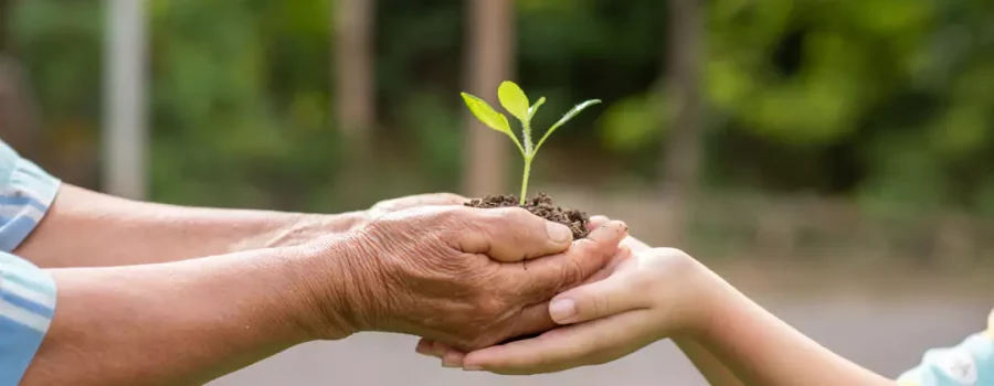 Pegada ambiental: o que é, importância e como medir